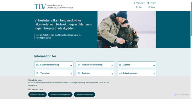 Security scan screenshot of https://www.tlv.se
