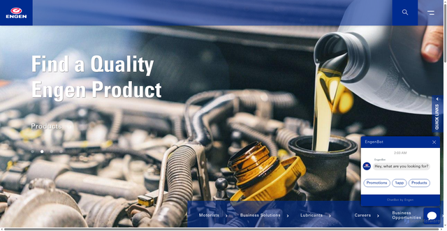 Security scan screenshot of https://engsil.cc/