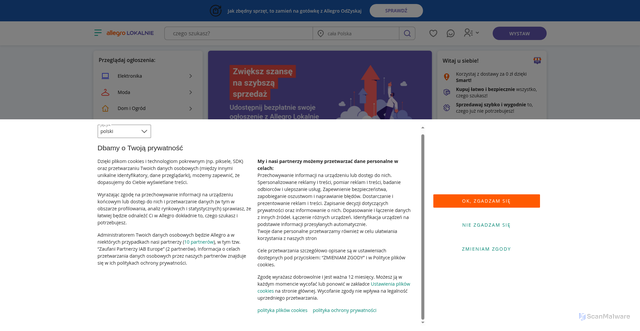 Security scan screenshot of https://allegrolokalnie.3242351.pl