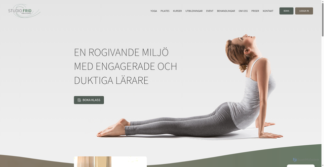 Security scan screenshot of https://studiofrid.se