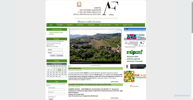 Security scan screenshot of http://www.agronomiforestali.av.it/