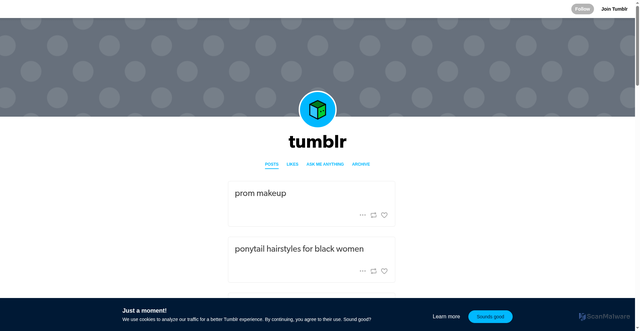 Security scan screenshot of https://pinkprincetraveler.tumblr.com