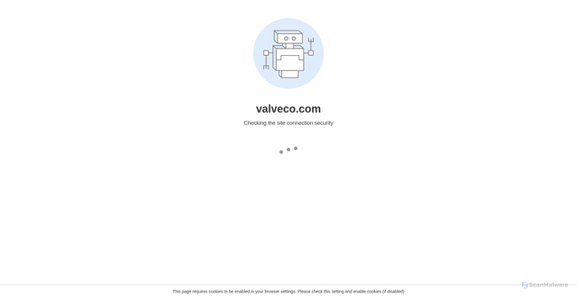 Security scan screenshot of https://www.valveco.com/