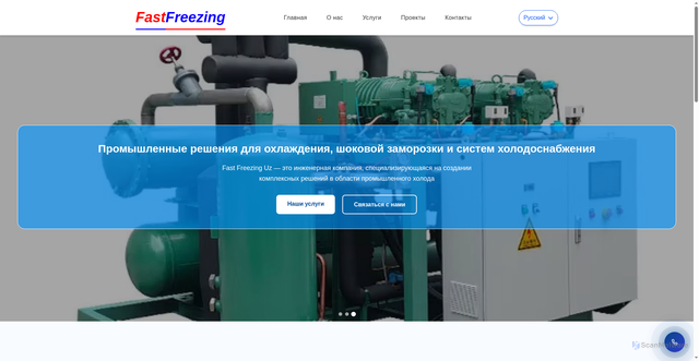 Security scan screenshot of https://fastfreezing.com/