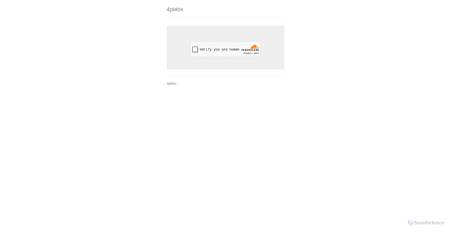 Security scan screenshot of https://4plebs.org