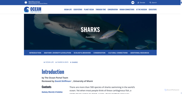 Security scan screenshot of https://ocean.si.edu/ocean-life/sharks-rays/sharks