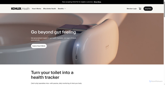 Security scan screenshot of https://kohlerhealth.com