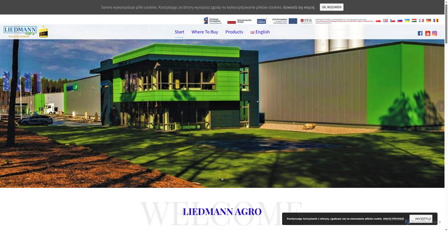 Security scan screenshot of https://liedmann.pl