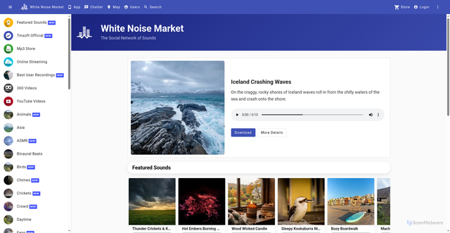 Security scan screenshot of https://cdn.whitenoisemarket.com