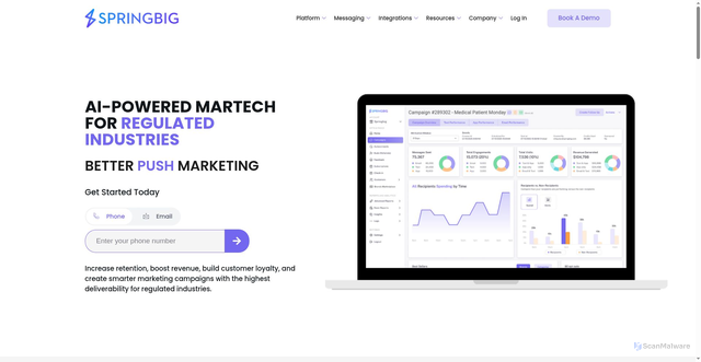 Security scan screenshot of https://springbig.com