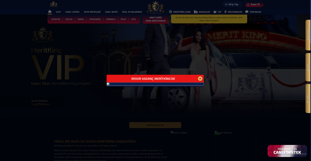 Security scan screenshot of https://meritkinf1692.com/vip