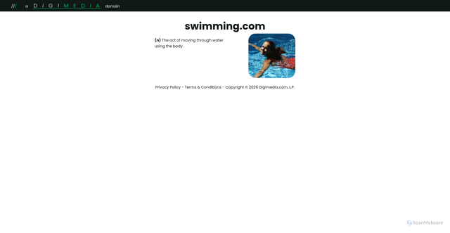 Security scan screenshot of http://swimming.com/