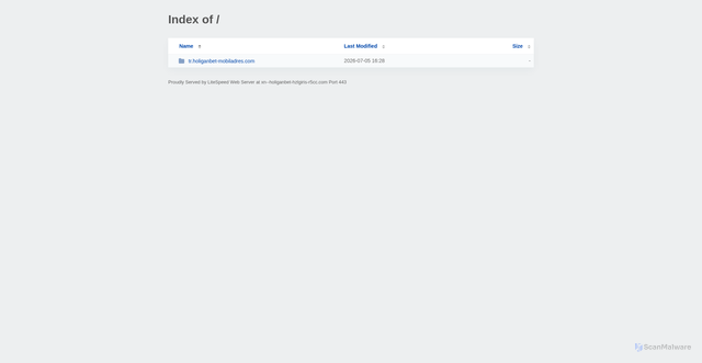 Security scan screenshot of https://xn--holiganbet-hzlgiris-r5cc.com/