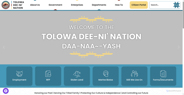 Security scan screenshot of https://www.tolowa.gov/