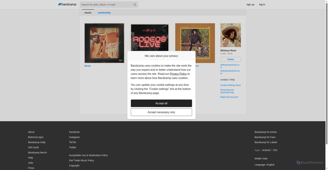 Security scan screenshot of https://whitneyrose.bandcamp.com/