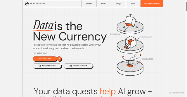 Security scan screenshot of https://perceptrons.xyz