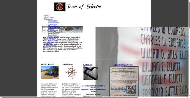 Security scan screenshot of http://www.townofeclectic.com/