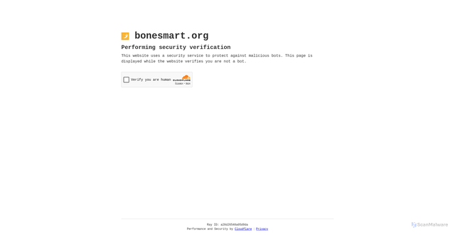 Security scan screenshot of https://bonesmart.org