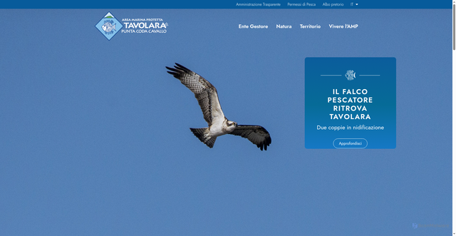 Security scan screenshot of https://www.amptavolara.com/