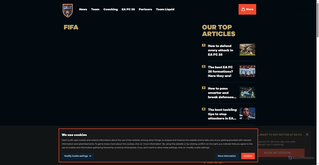 Security scan screenshot of https://www.teamgullit.com/fifa