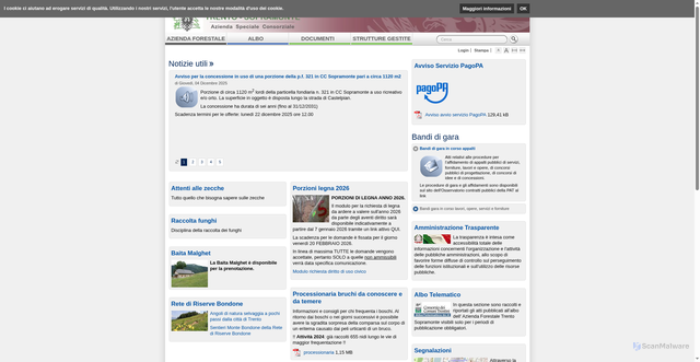 Security scan screenshot of https://www.aziendaforestale.tn.it/