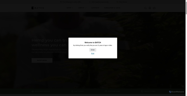Security scan screenshot of https://hellobatch.com