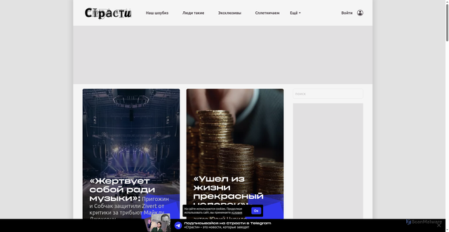Security scan screenshot of https://passion.ru