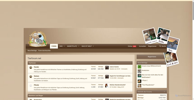 Security scan screenshot of https://tierforum.net