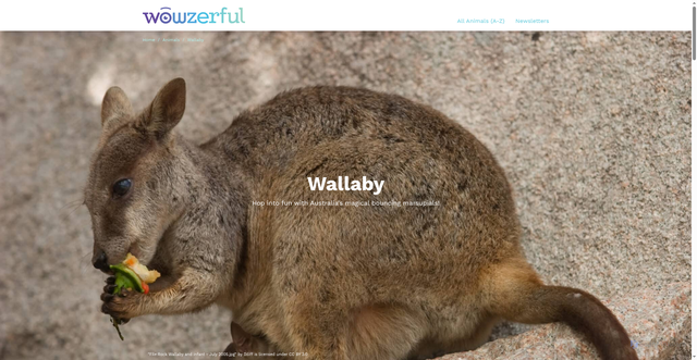 Security scan screenshot of https://wowzerful.com/animals/wallaby/