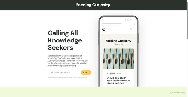 Security scan screenshot of https://feedingcuriosity.com