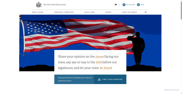 Security scan screenshot of https://www.nysenate.gov/