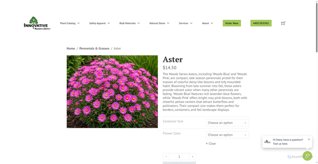 Security scan screenshot of https://www.innovativenursery.net/plant/perennials-grasses/aster/