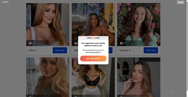 Security scan screenshot of https://cupidfeel.com/land/loader/201/?partner=839&subid=654-146713057&ip=178.63.16.224&site=4688&sub1=7298_&sub2=696d61183eb71a000179f03a_&sub3=&sub4=&offer_id=654&clickid=171333337&back=#back#&tid=#tid#&