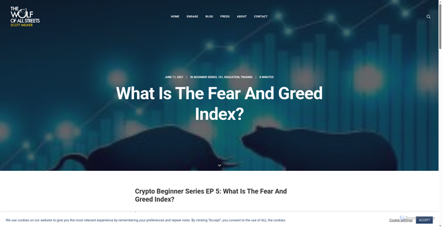 Security scan screenshot of https://www.thewolfofallstreets.io/what-is-the-fear-and-greed-index/