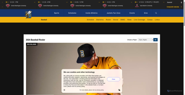 Security scan screenshot of https://msubsports.com/sports/baseball/roster/payton-flynn/5671