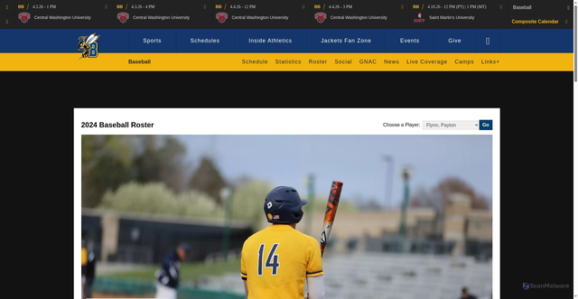 Security scan screenshot of https://msubsports.com/sports/baseball/roster/payton-flynn/5671