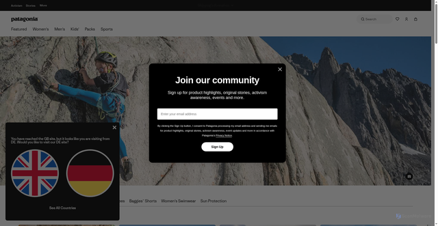 Security scan screenshot of https://eu.patagonia.com