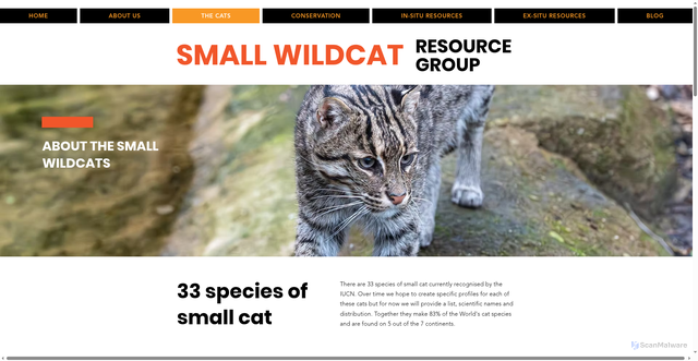 Security scan screenshot of https://www.smallwildcatresourcegroup.com/the-cats