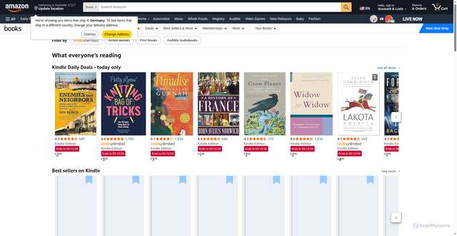 Security scan screenshot of https://fseryy.pages.dev/amz-books/store?ou=psf&ie=UTF8&ref_=nav_cs_books