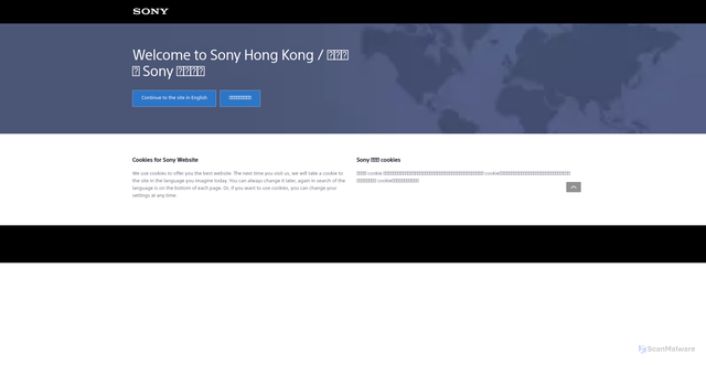 Security scan screenshot of https://www.sony.com.hk