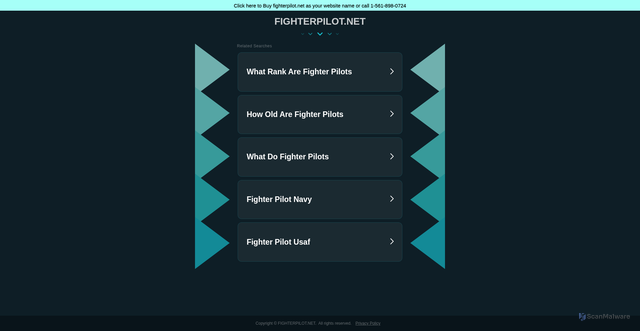 Security scan screenshot of https://fighterpilot.net/