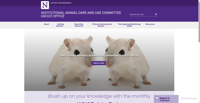 Security scan screenshot of https://iacuc.northwestern.edu