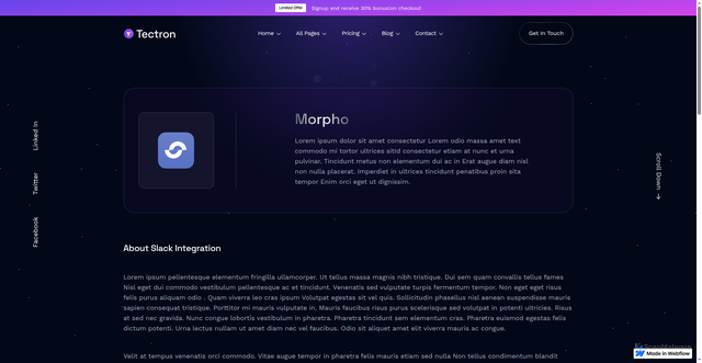 Security scan screenshot of https://tectron.pages.dev/integration-details/morpho