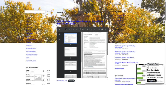 Security scan screenshot of https://sonoratexas.gov/
