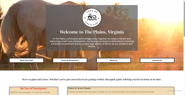 Security scan screenshot of https://www.townoftheplainsvirginia.gov/