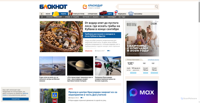 Security scan screenshot of https://bloknot-krasnodar.ru