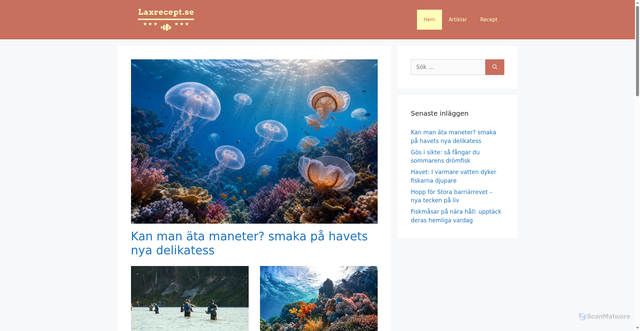 Security scan screenshot of https://laxrecept.se