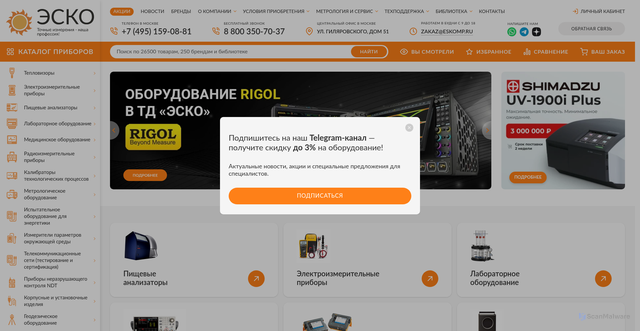 Security scan screenshot of https://eskomp.ru