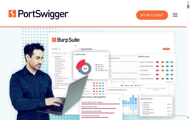 Security scan screenshot of https://portswigger.net/
