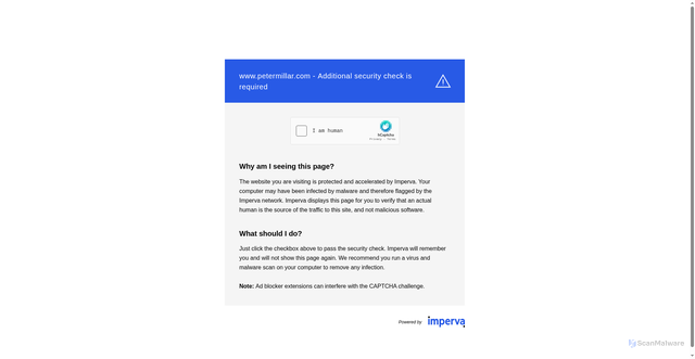 Security scan screenshot of https://petermillar.com